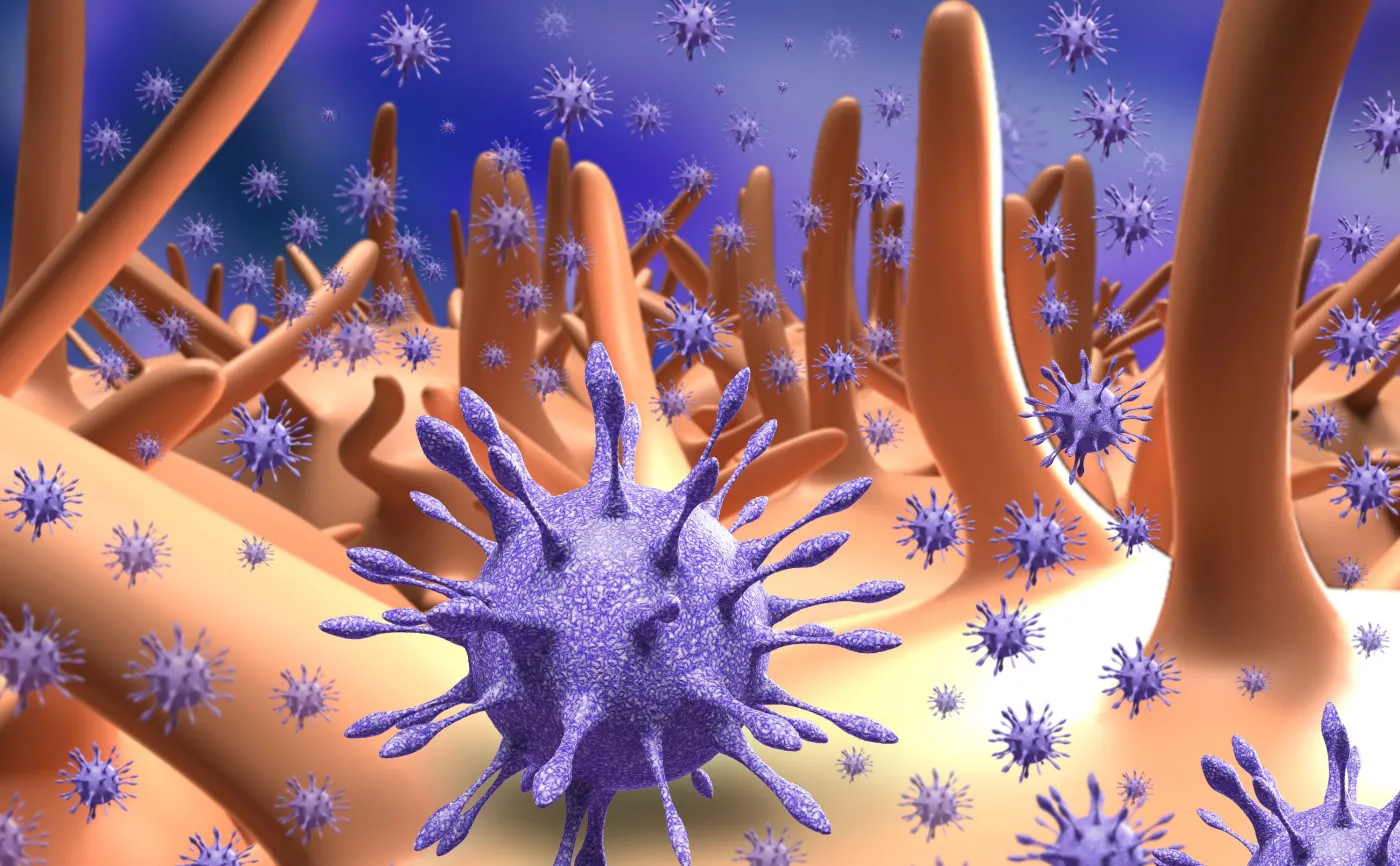 W ludzkich jelitach naukowcy zidentyfikowali ponad 140 tys. gatunków wirusów