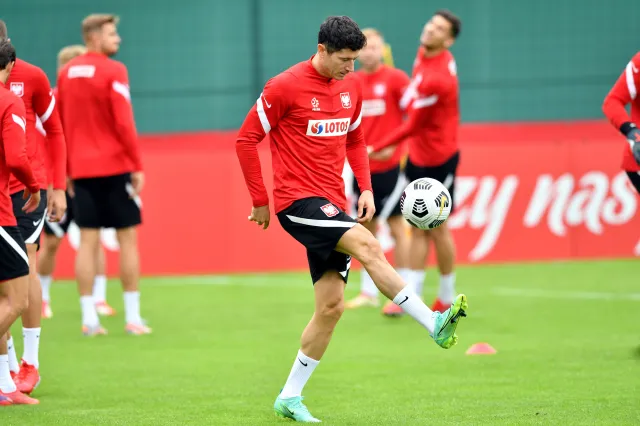 El. MŚ 2022. Zmazać plamę po Euro. Polacy faworytami w meczu z Albanią