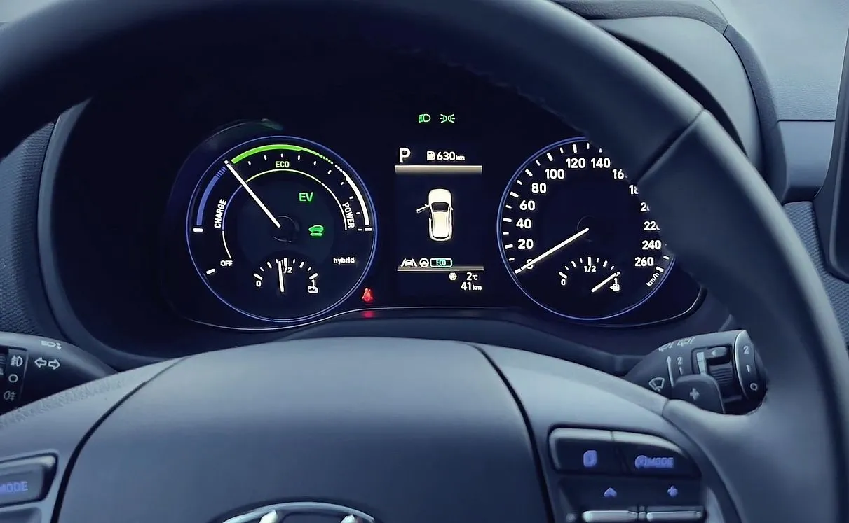 Straż Graniczna wybrała samochody elektryczne. Spalinowe zbyt drogie