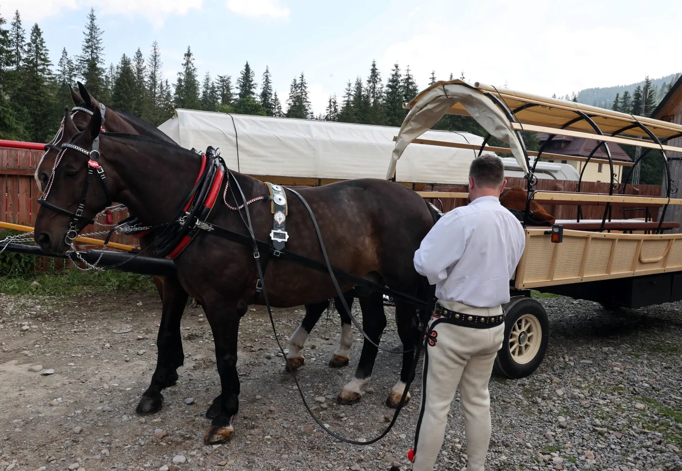 Hybrydowy wóz konny wraca na trasę do Morskiego Oka