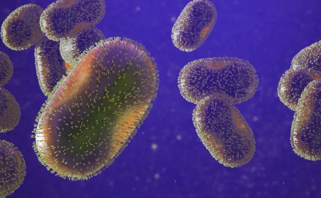 Atakuje nie tylko małpy (i człowieka). Co wiemy o wirusie małpiej ospy?