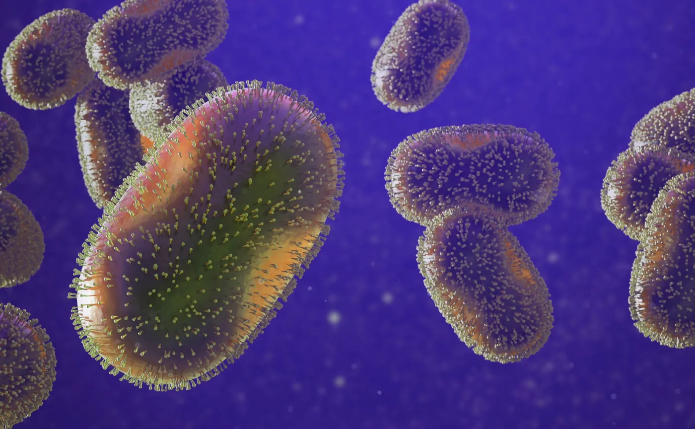 Wirus małpiej ospy pozostaje na powierzchniach, z którymi miał styczność chory