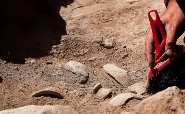 To szczątki starsze od dinozaurów. Sensacyjne znalezisko na plaży