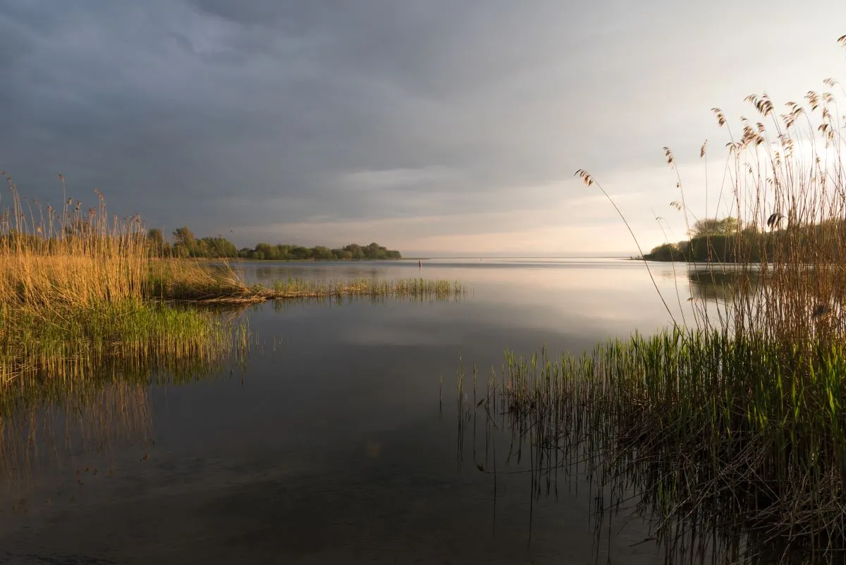 Zaskakujące znalezisko na dnie Zalewu Szczecińskiego