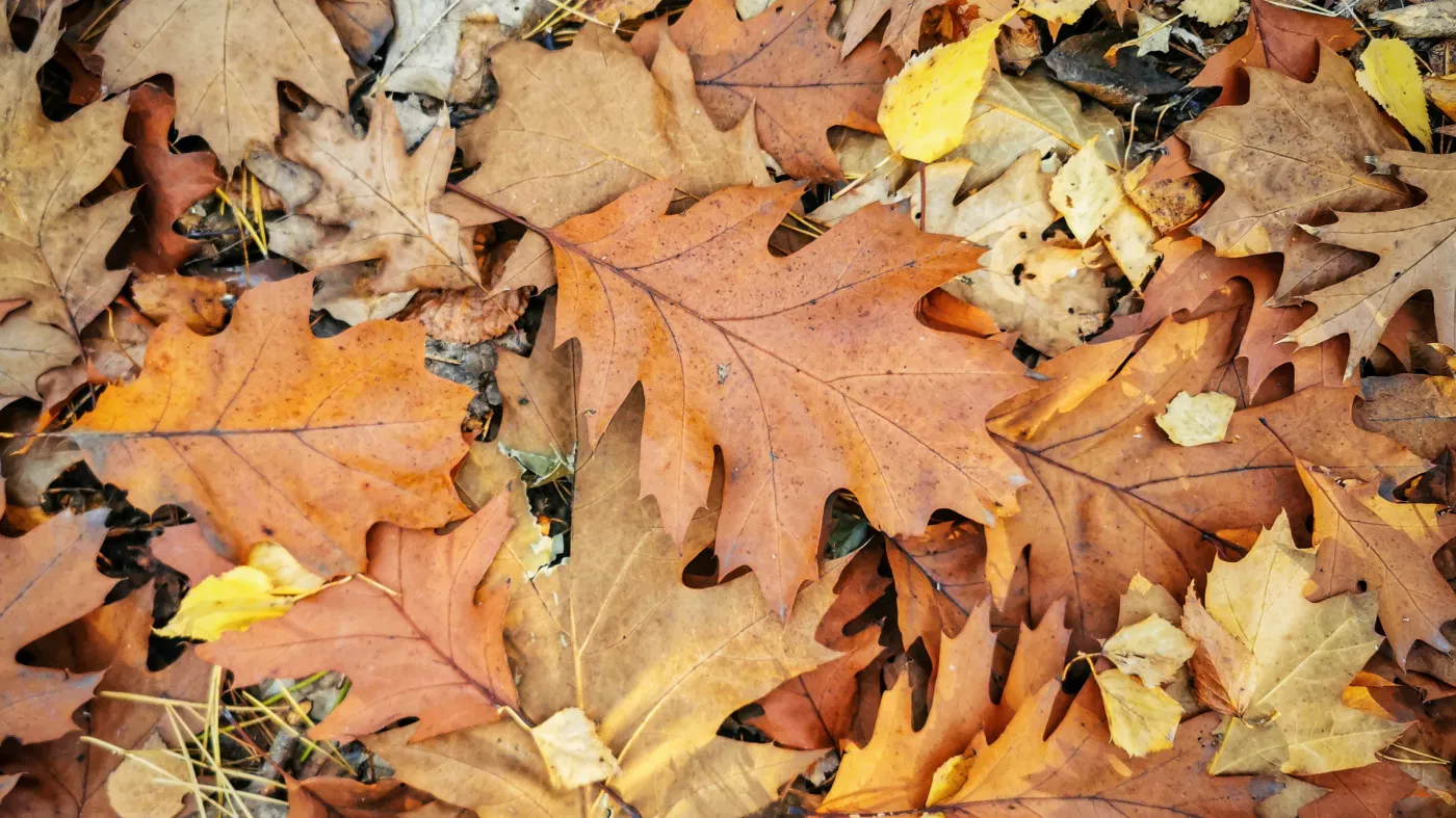 Pogoda na weekend. Czekają nas opady?