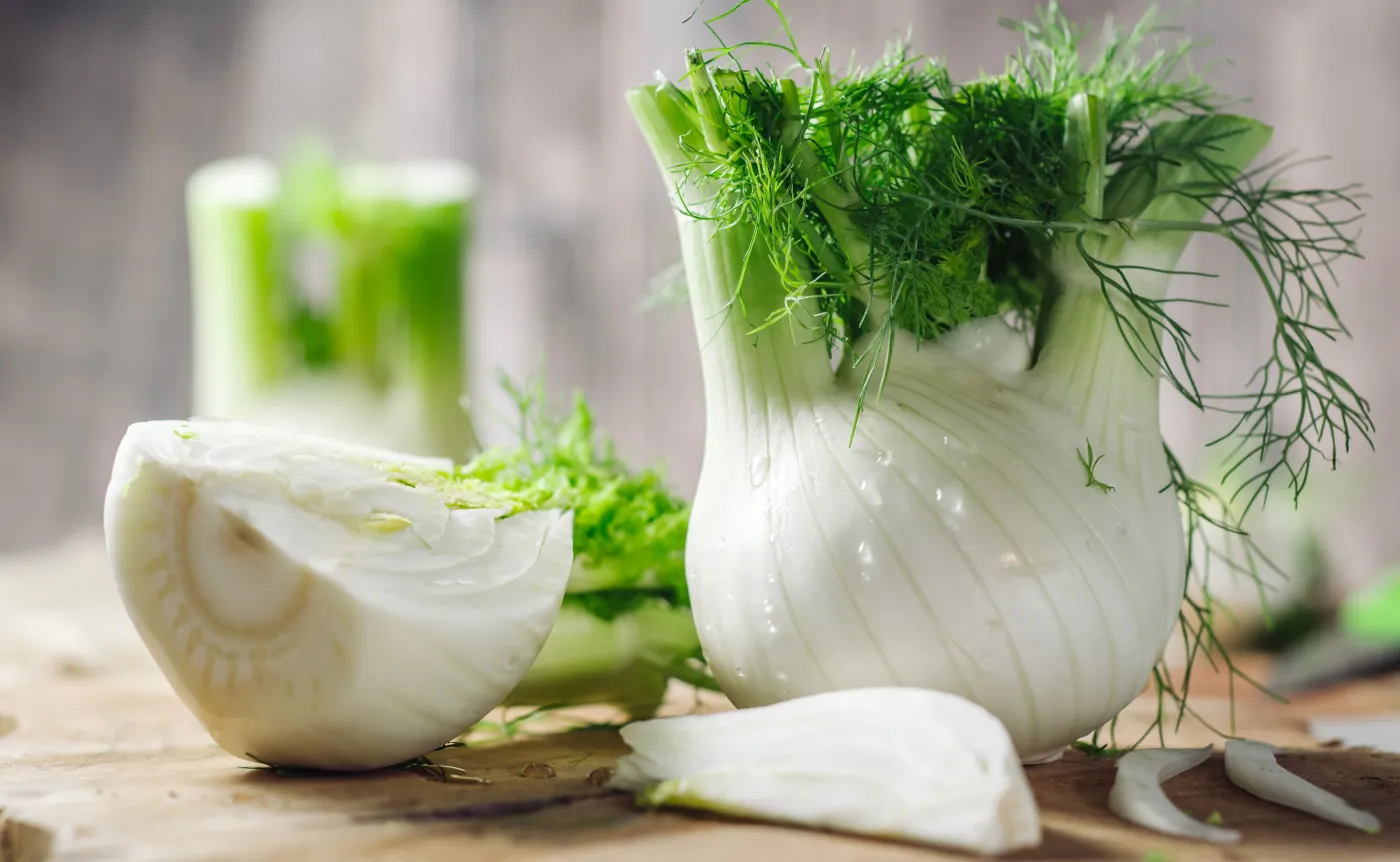 Koper włoski, fenkuł