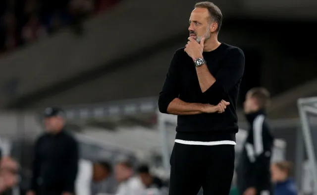 Liga niemiecka. Matarazzo nowym trenerem Hoffenheim