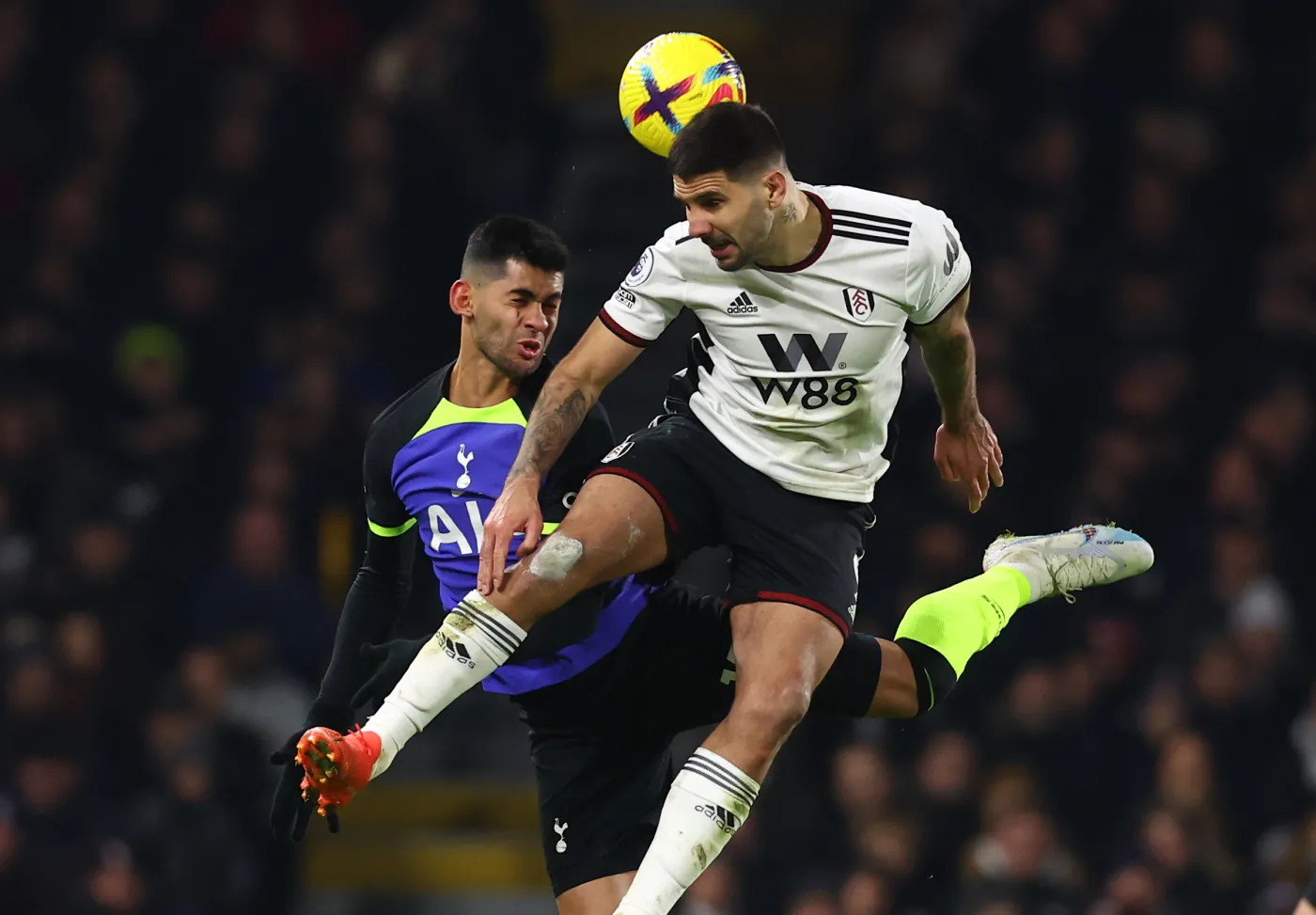 Aleksandar Mitrovic surowo ukarany za popchnięcie sędziego