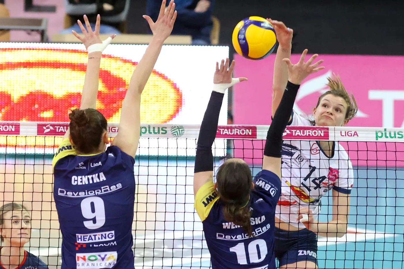 Monika Fedusio, Weronika Centka i Katarzyna Wenerska