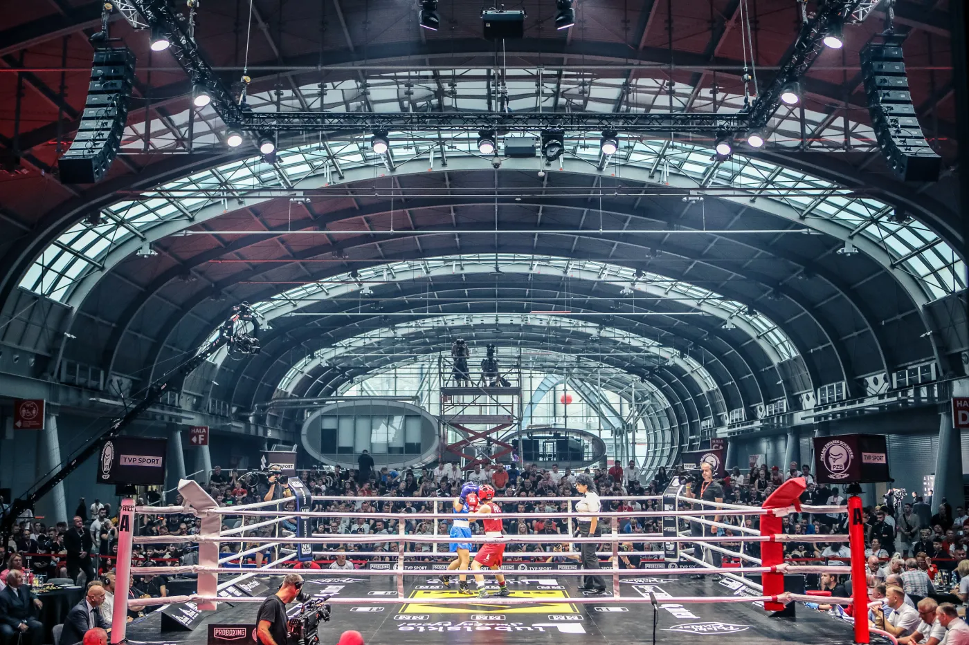 suzuki-boxing-night-37839279.jpg
