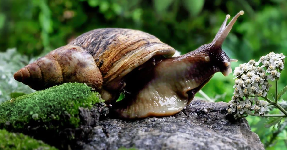 Quiz z biologii: Zwierzęta, które skaczą i pełzają - ile o nich wiesz? 10. pytanie niby łatwe, a wycina każdego