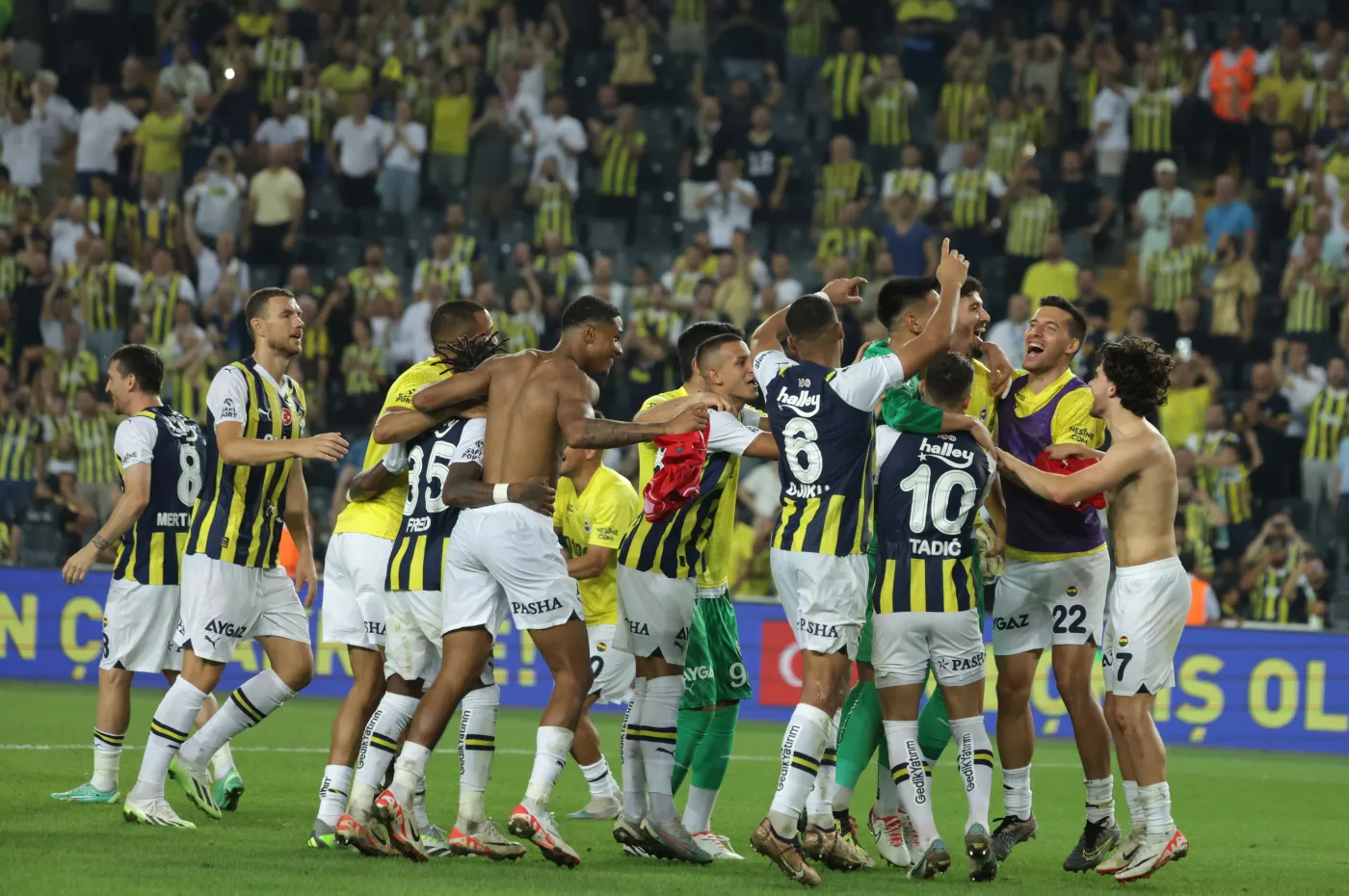 Piłkarze Fenerbahce