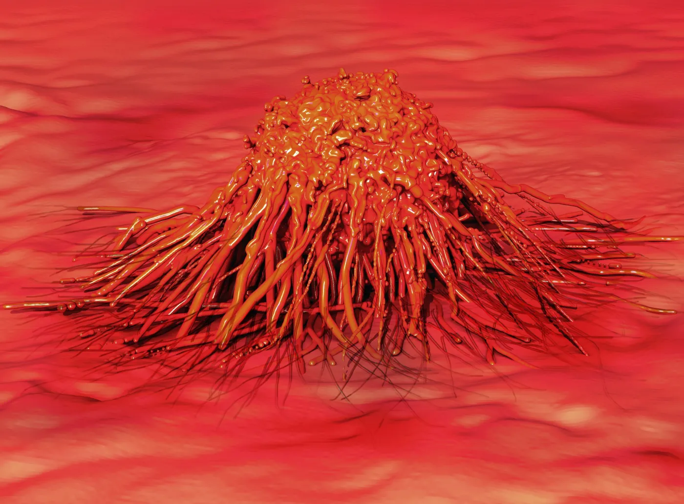 Nowotwór złośliwy? Nie daj się mu! Zapobiegaj