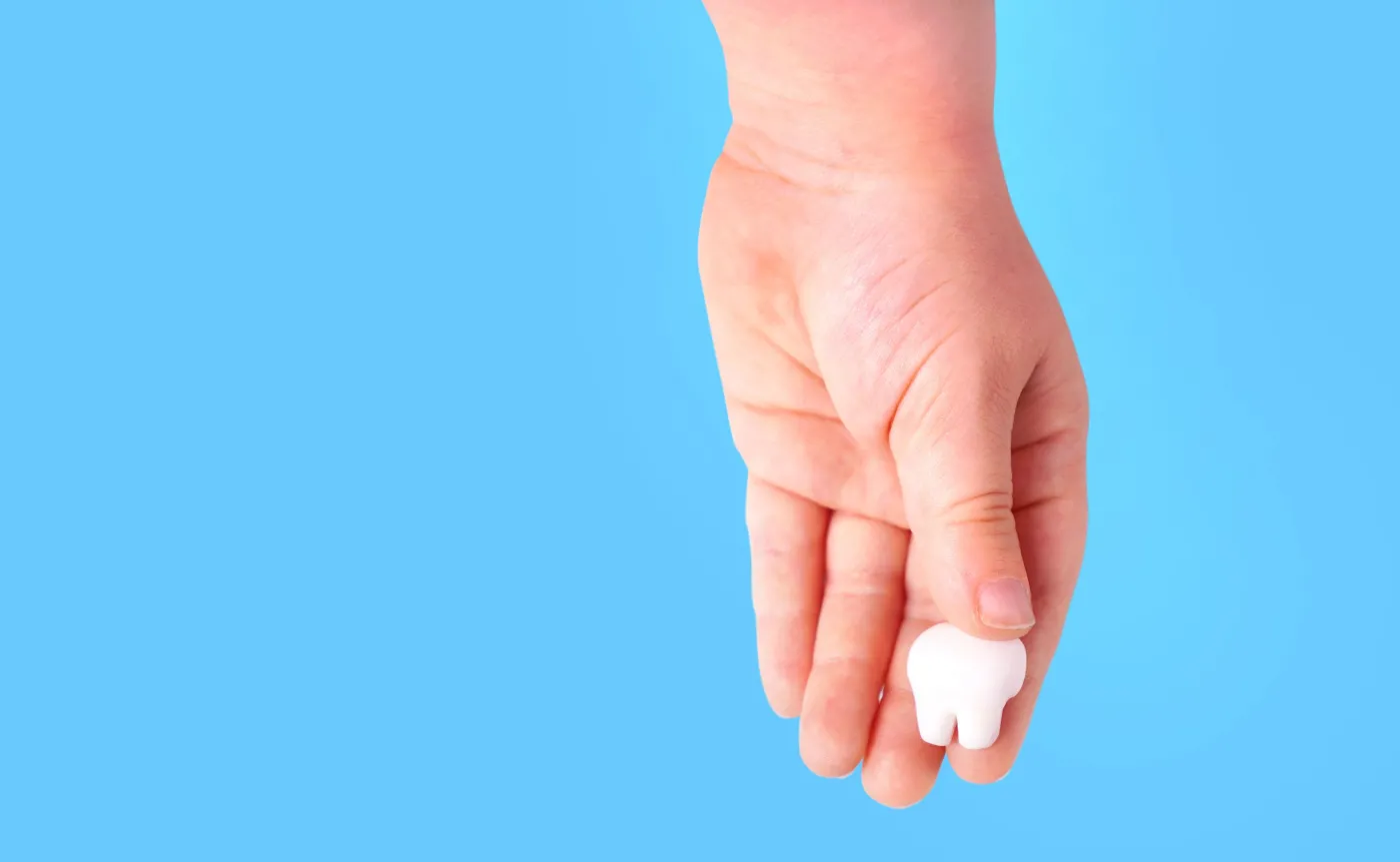 Ząb w dłoni dziecka