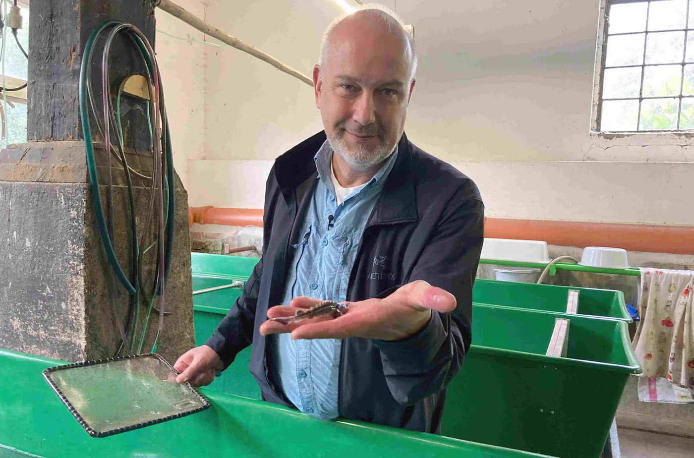 "Martwe ryby w Odrze"