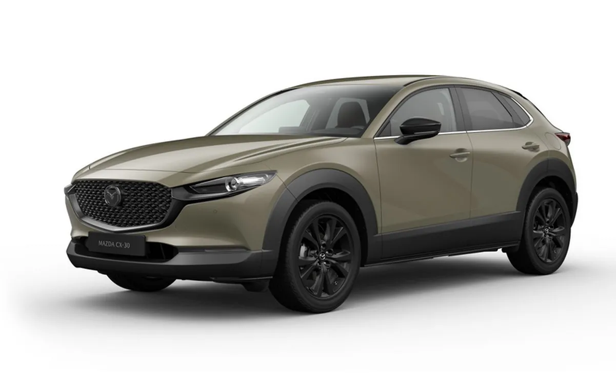 mazda-cx30-nagisa-37952258.png