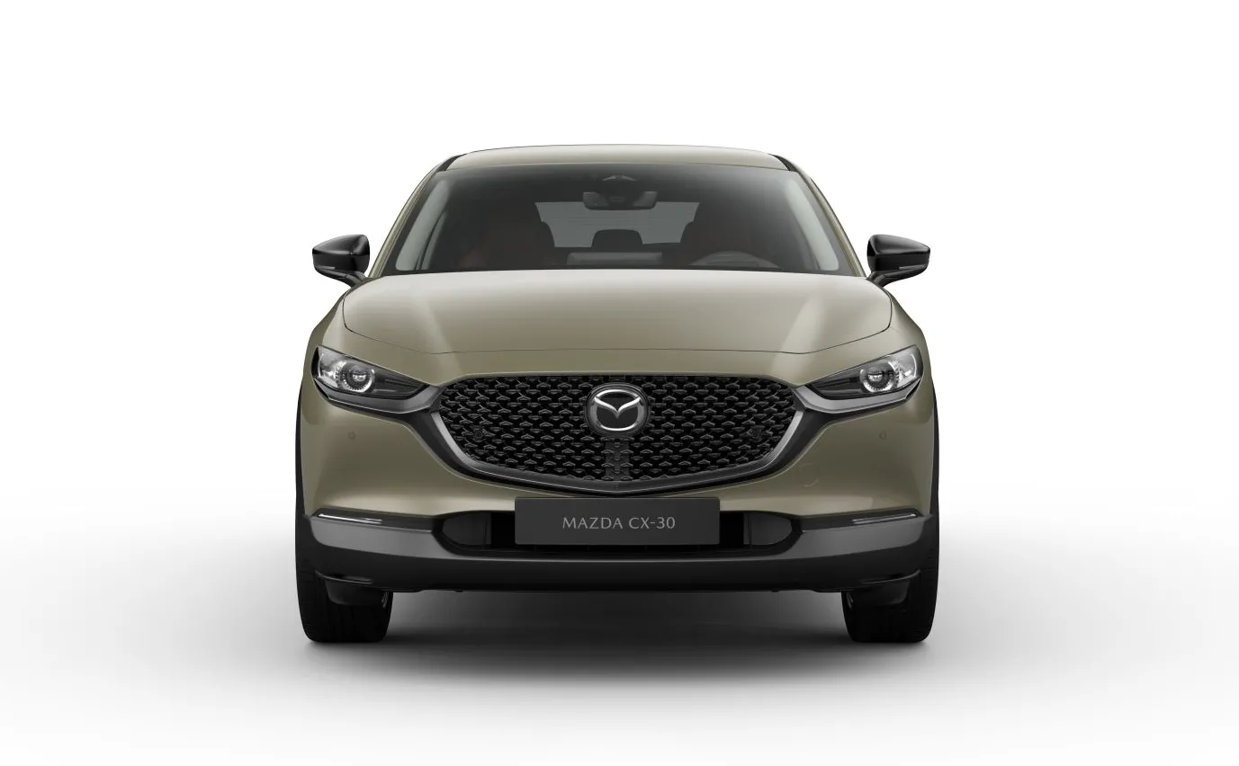 mazda-cx30-nagisa-37952303.png