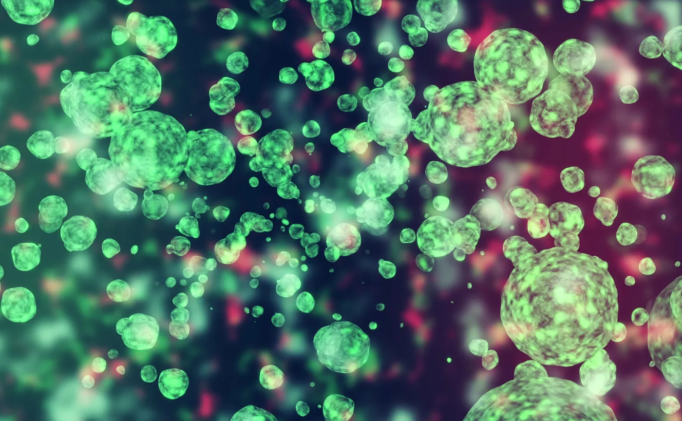 Salmonella: Jakie są objawy zakażenia? Jak można się zarazić?