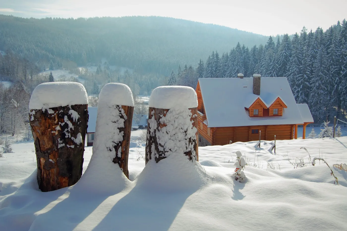 góry złote, zima, śnieg