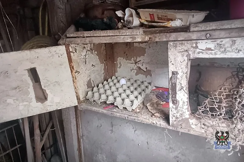 Boguszewo-Gorce: Miał ochotę na jajecznicę i rosół. Okradł kurnik