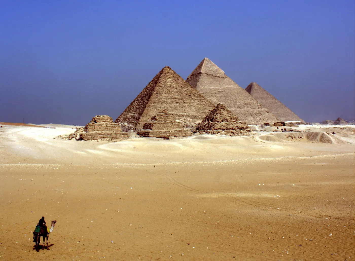 Egipt piramida piramidy wielbłąd pustynia