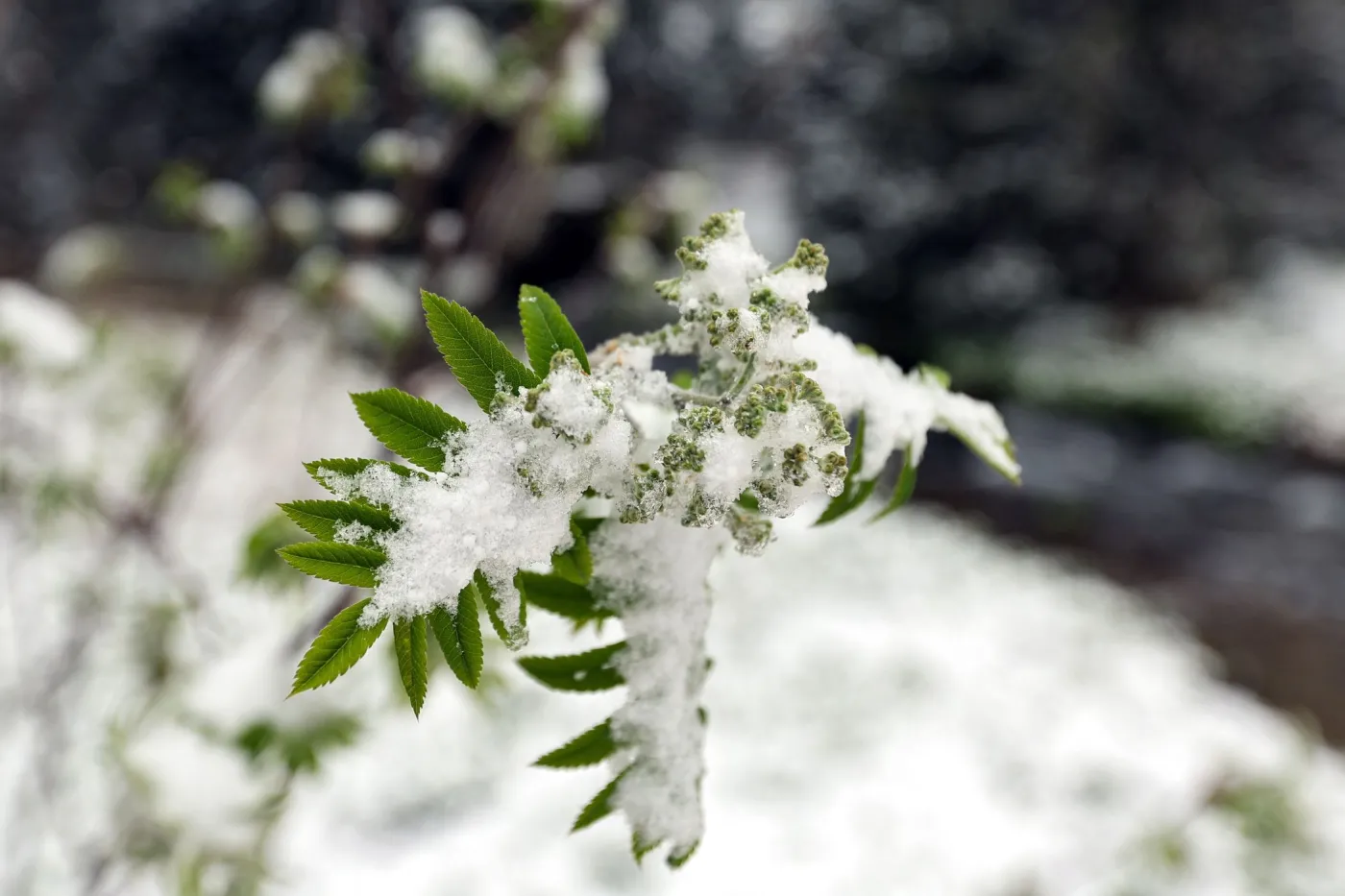 Zima w Tatrach. Na Kasprowym leży prawie metr śniegu
