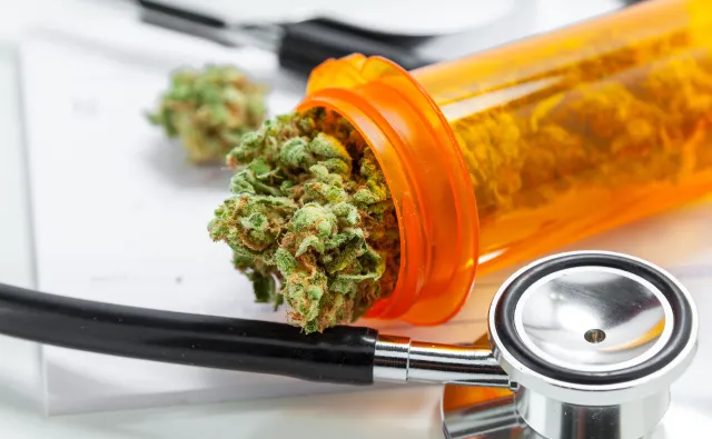 Medyczna marihuana – legalna, ale niedostępna