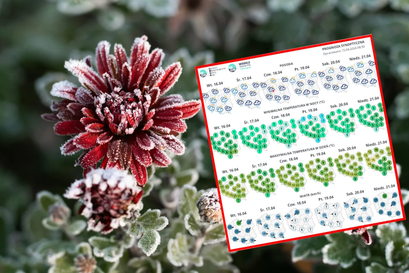 Nad Polskę napływa powietrze polarne. Nocami wróci mróz