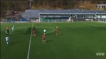 Bramkarz zabił mewę