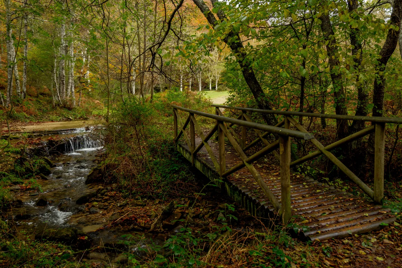 To najlepsze miejsce na relaks. Poprawia samopoczucie i sprzyja odchudzaniu