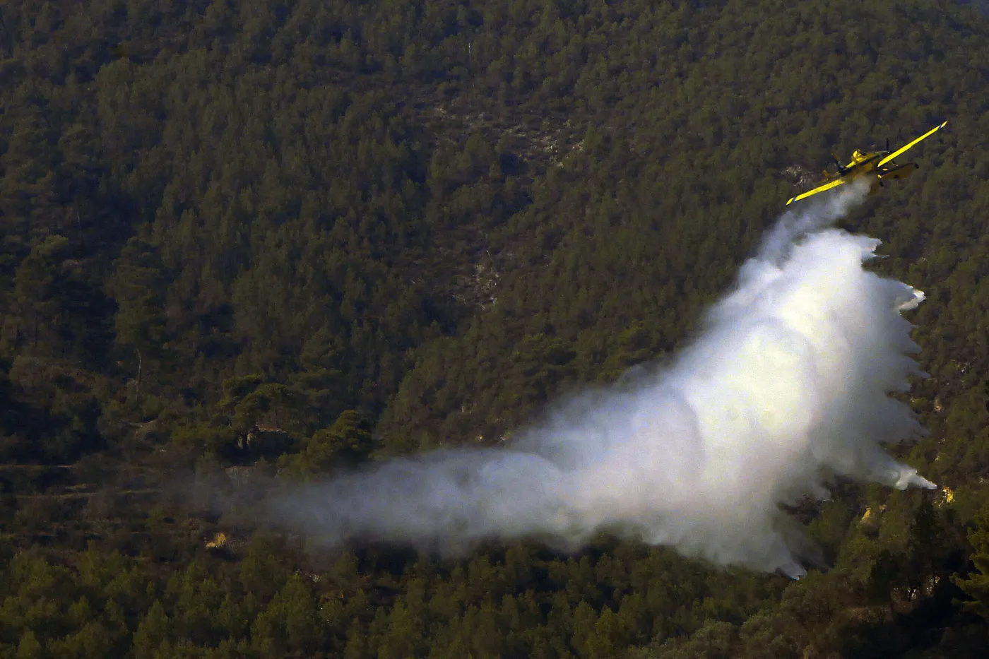 Południe Europy płonie. Ewakuacja mieszkańców, prośby o zagraniczną pomoc