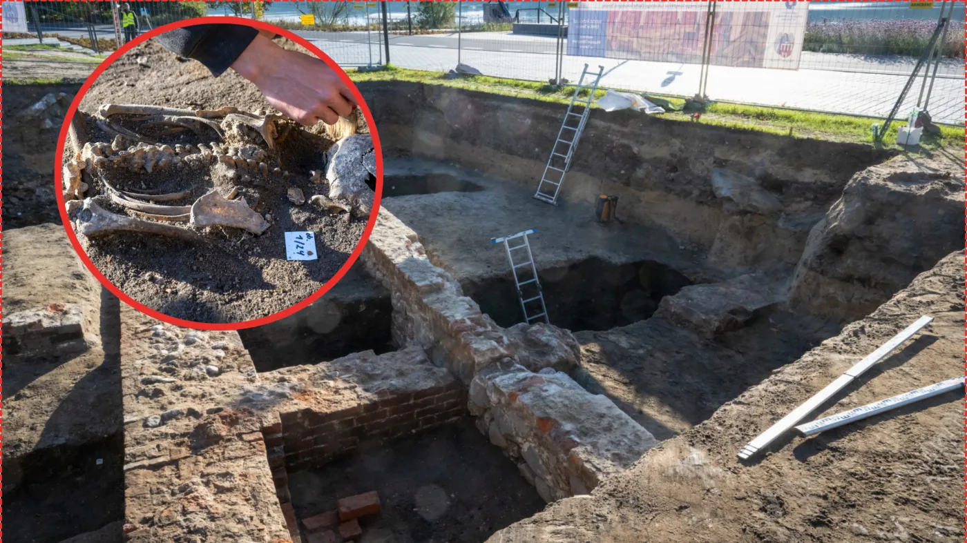 PAP/Tytus Żmijewski