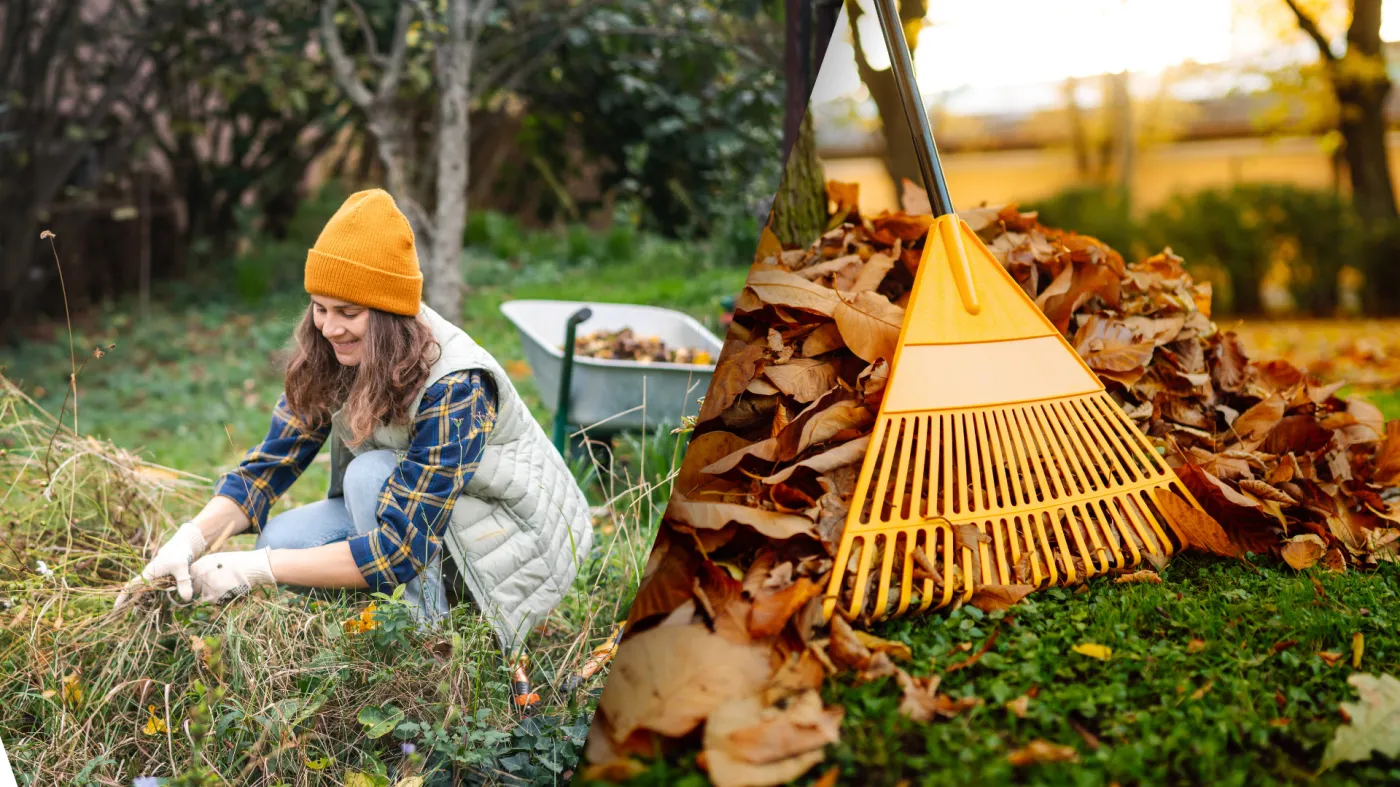 Listopad w ogrodzie: jakie prace trzeba wykonać przed zimą? Te zabiegi są kluczowe