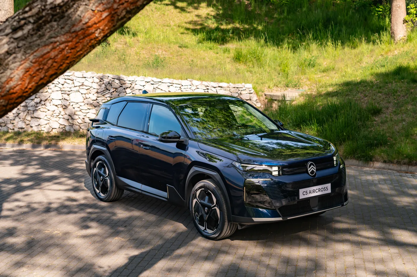 citroen-c5-aircross-38540275.jpg