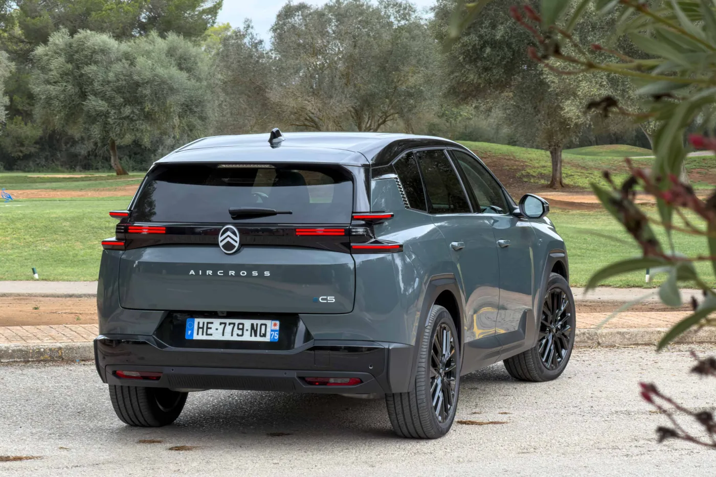 citroen-c5-aircross-38605938.jpg