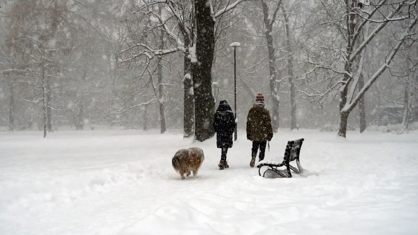 Koniec złudzeń o wiośnie. Wir polarny pękł i uderzy w Polskę z podwójną siłą