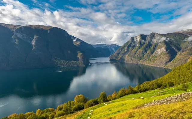 W norweskim raju też jest piekło. Jo Nesbø „Nóż" [RECENZJA]