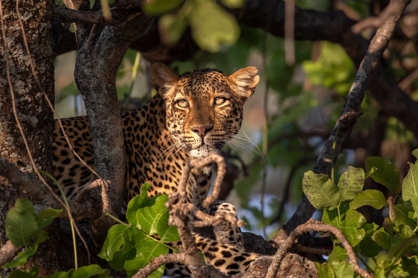 Niezwykły serial w telewizji. "Sympatie widza zmieniają się w trakcie"