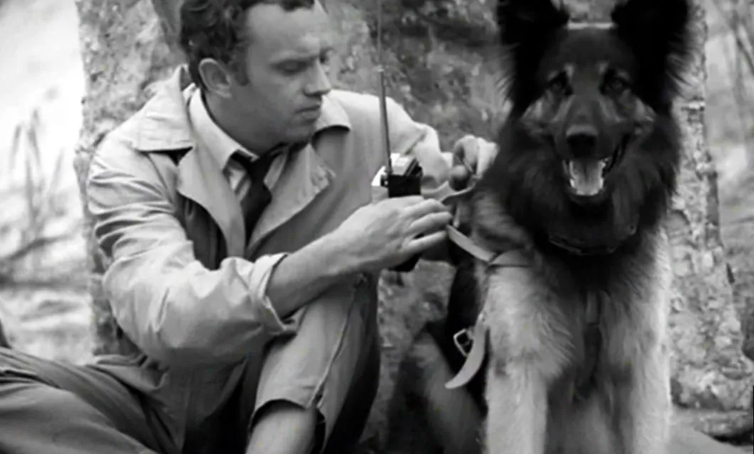 "Przygody psa Cywila" 