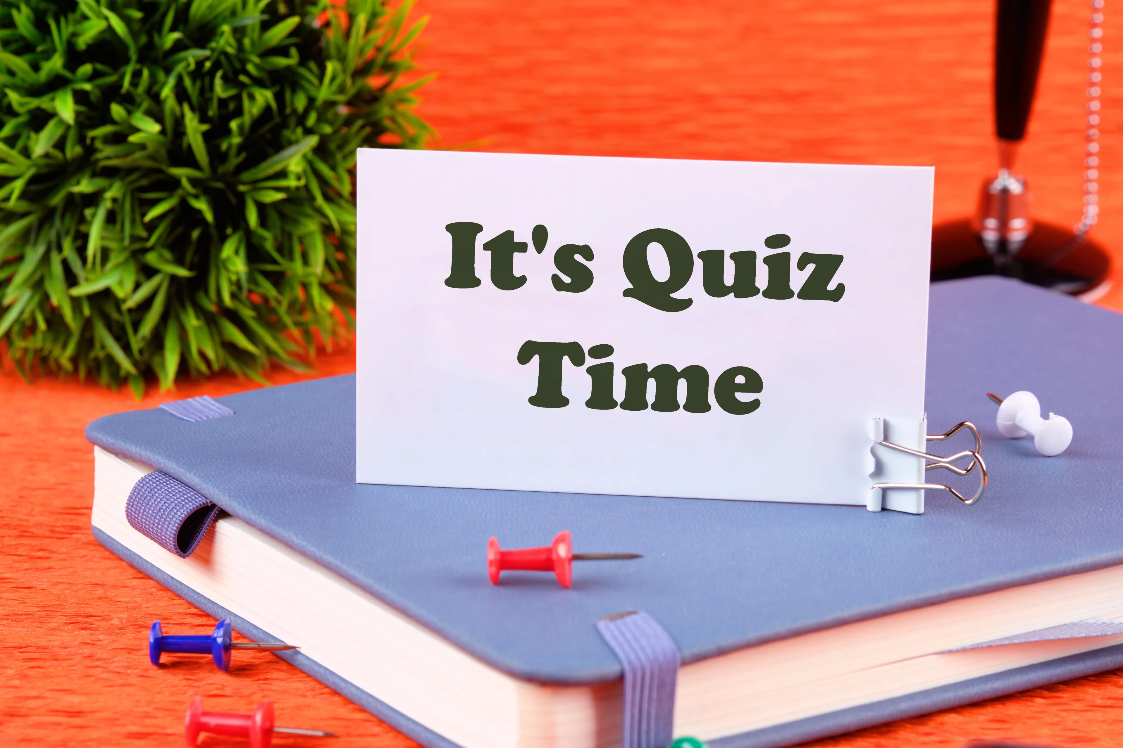 Historia, geografia, literatura... to dopiero początek. Sprawdź, co będzie dalej. QUIZ z Wiedzy Ogólnej na start