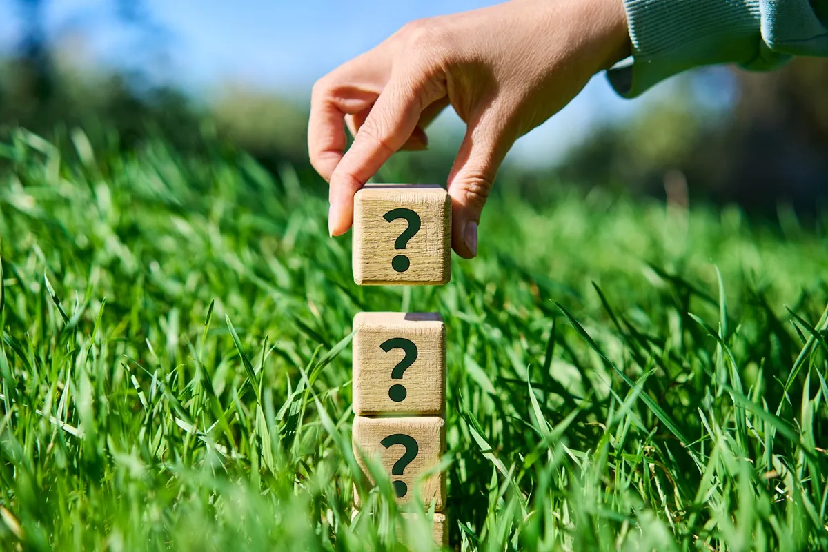 QUIZ Przysłowia o wiośnie. Sprawdź swoją pamięć i dokończ ludowe porzekadła!