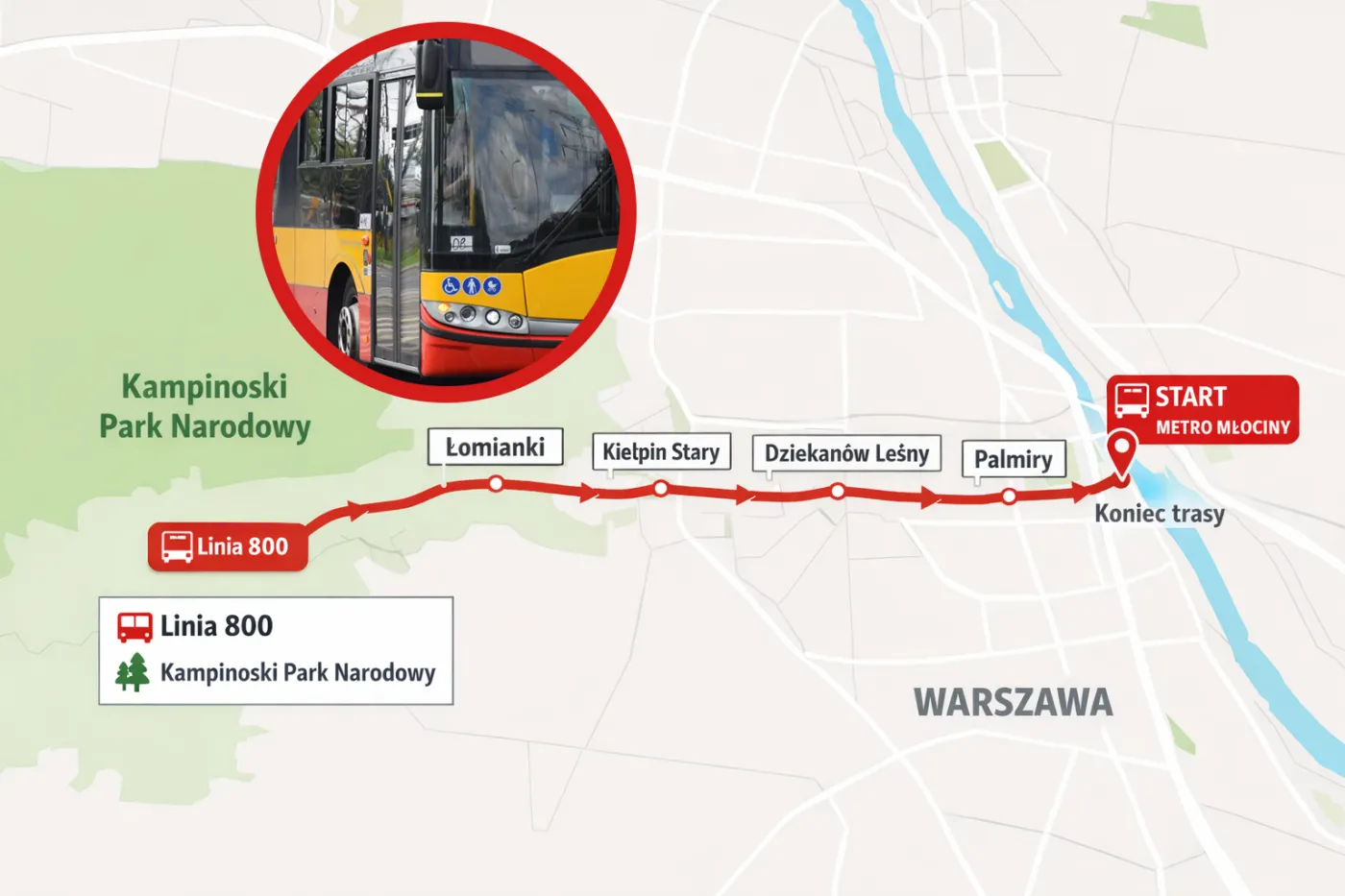 Warszawiacy znów dojadą do muzeum i na szlaki Kampinosu. Autobus 800 wraca do Palmir