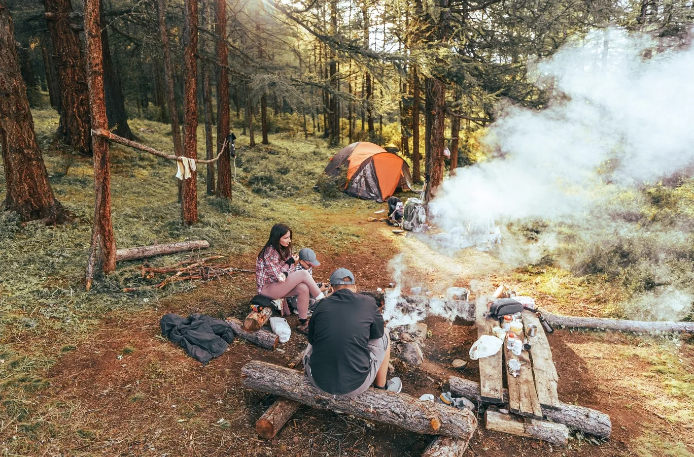 ognisko, las, majówka