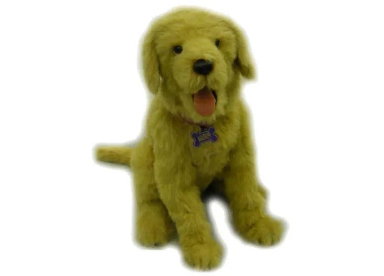 Golden Retriever na baterie