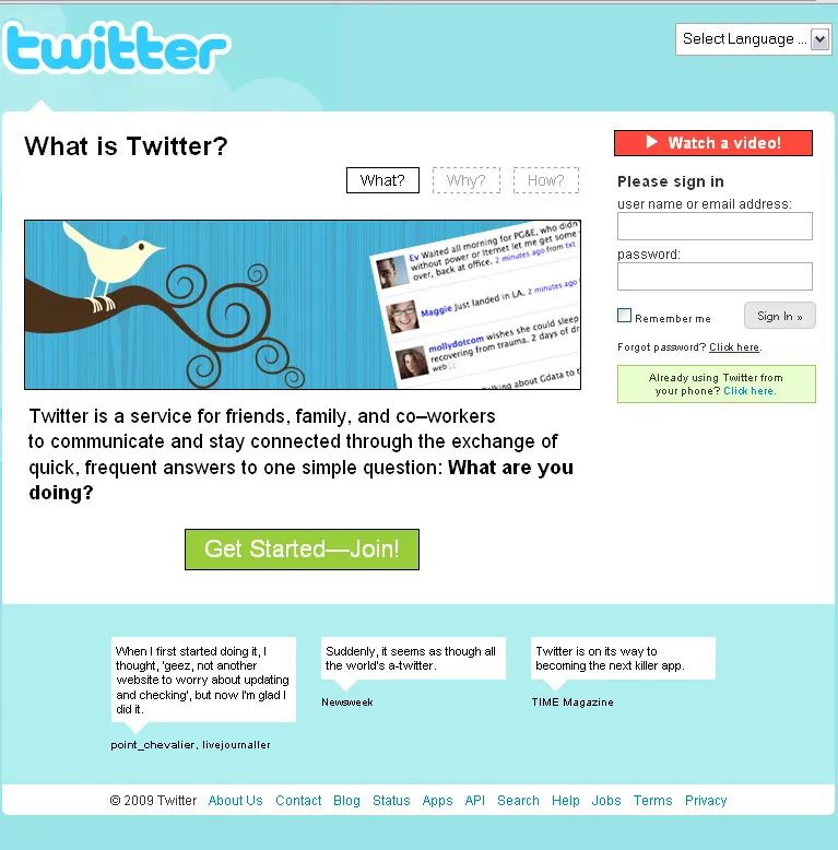 Internetowe ptasie radio