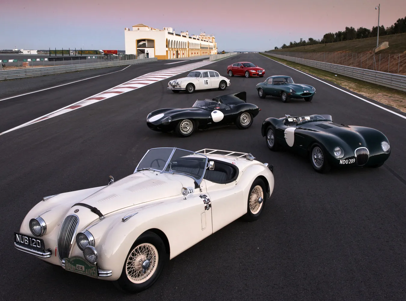 Kociak Jaguara kończy 75 lat