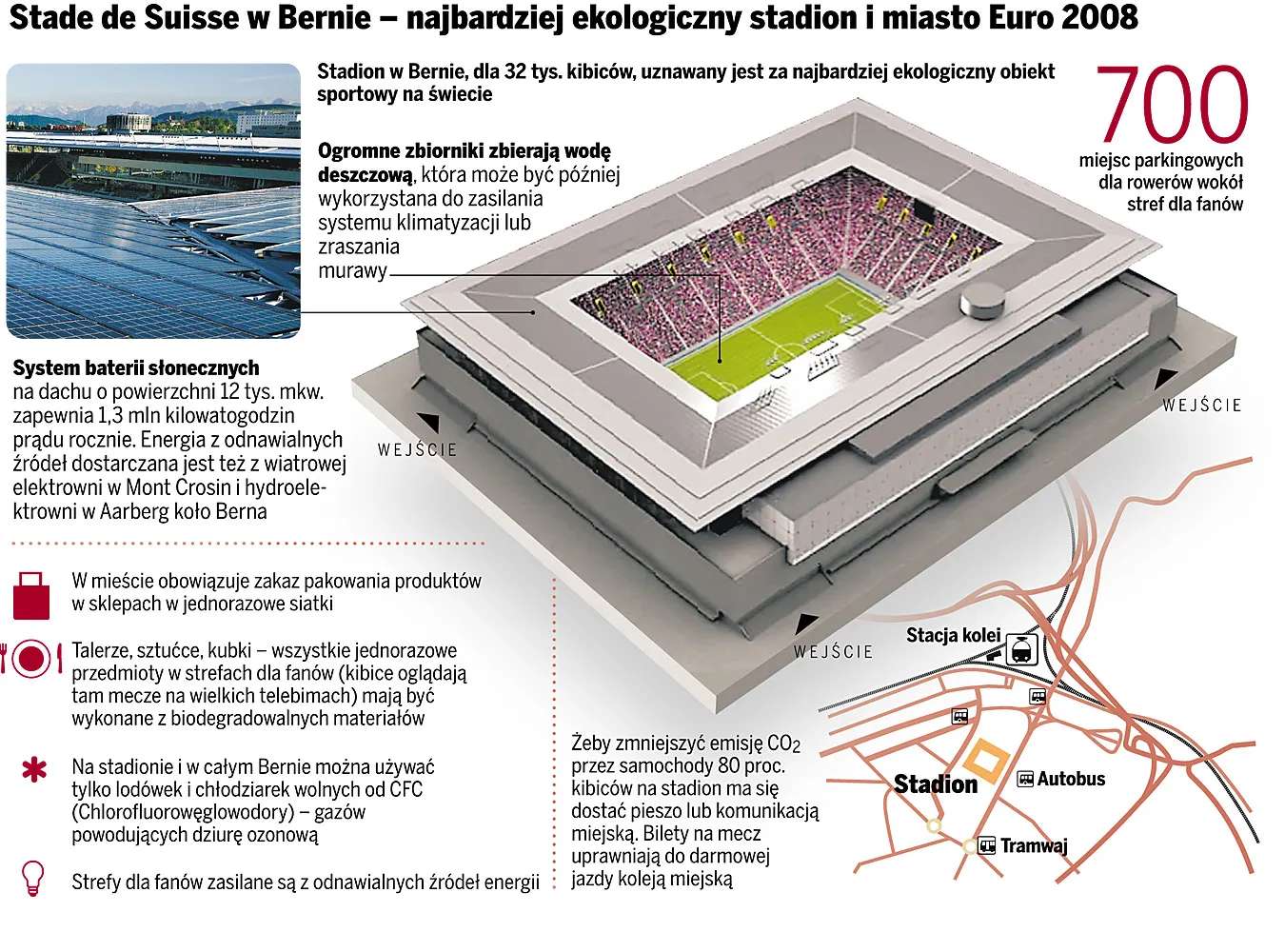 Kibice Euro 2008 będą zieloni