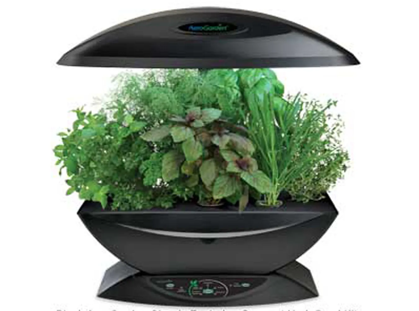 Uprawiaj zioła w kosmicznym stylu