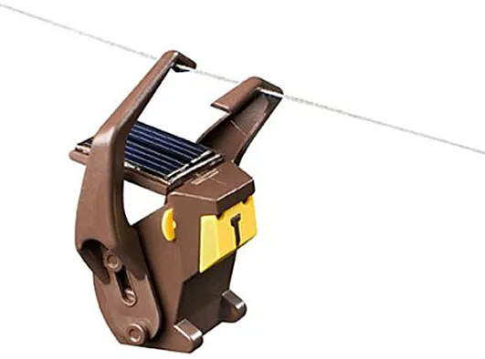 Małpie figle w pełnym słońcu