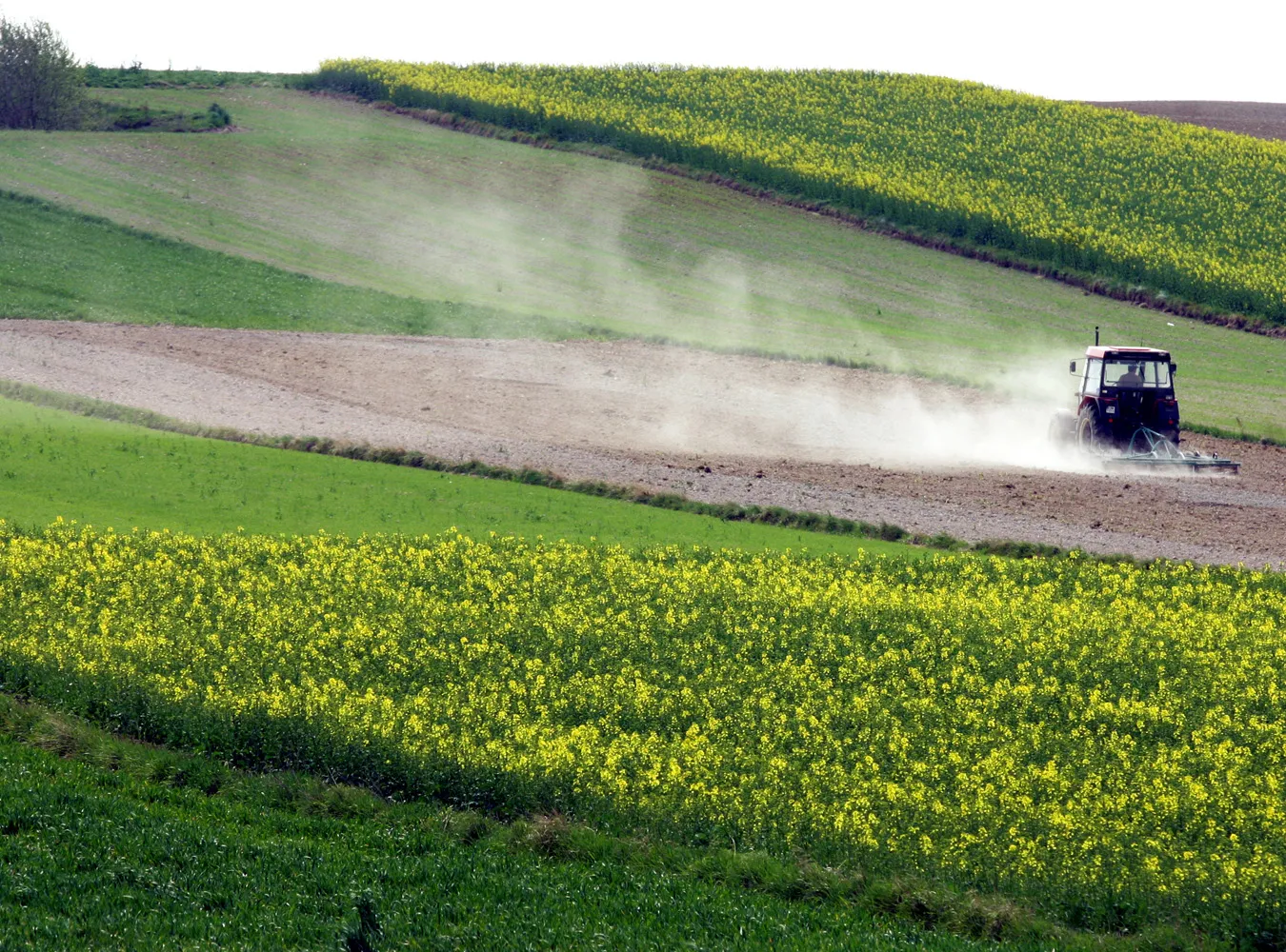 Biomasa mniej eko od ropy